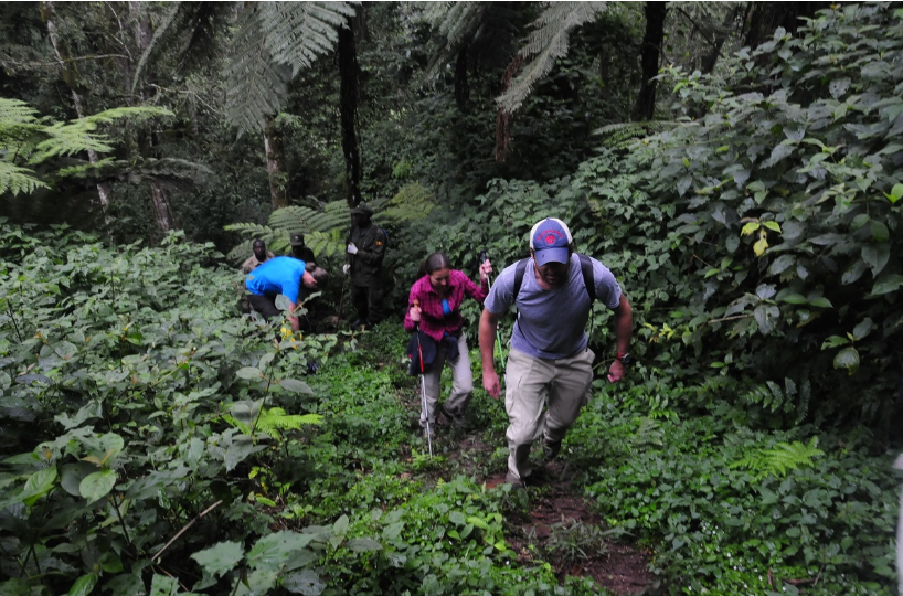 Guided nature walk